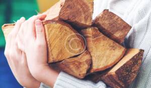 Read more about the article Playing & Learning Experience